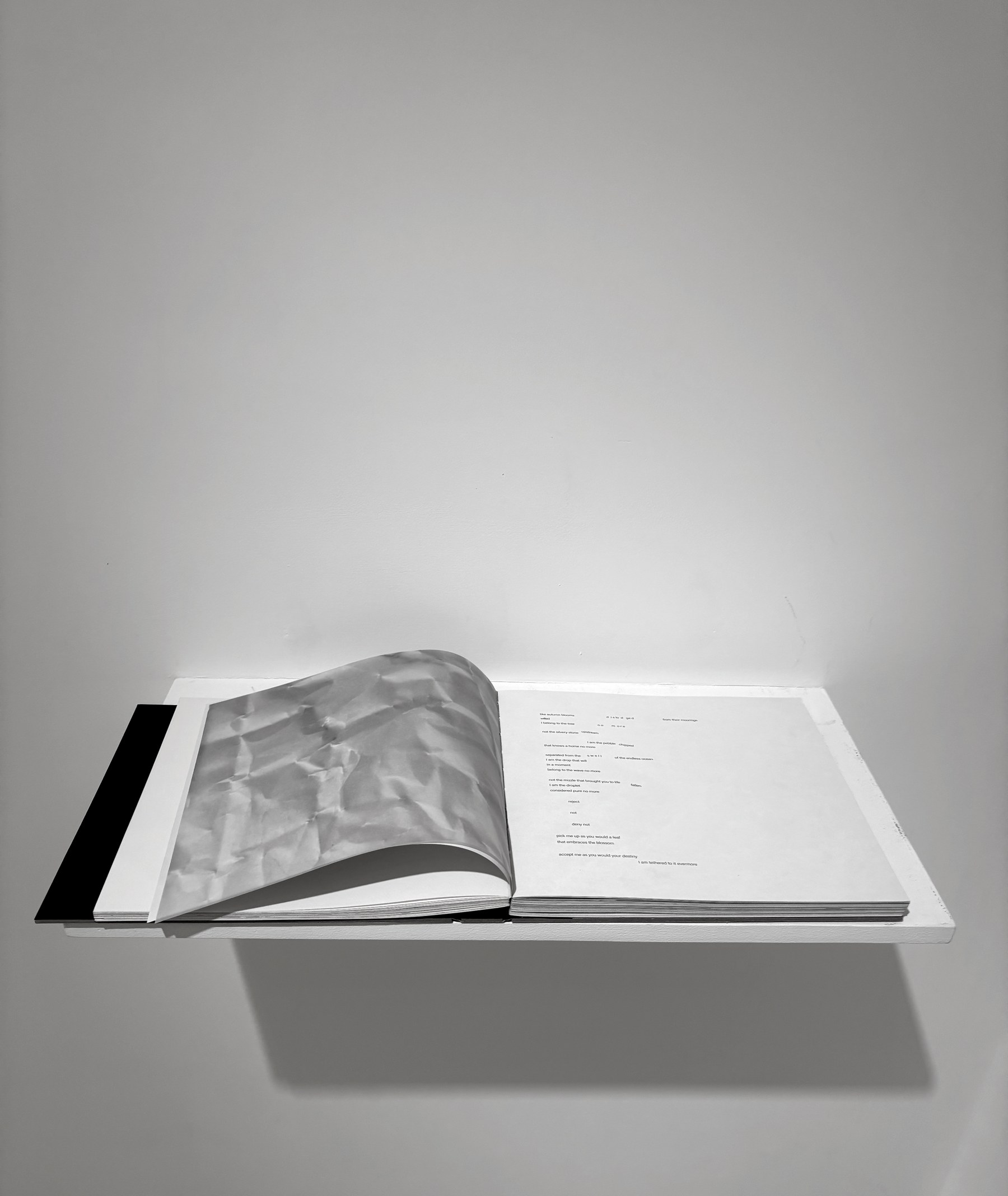 The book resting open on a white gallery shelf, lying flat, the crumpled page rising