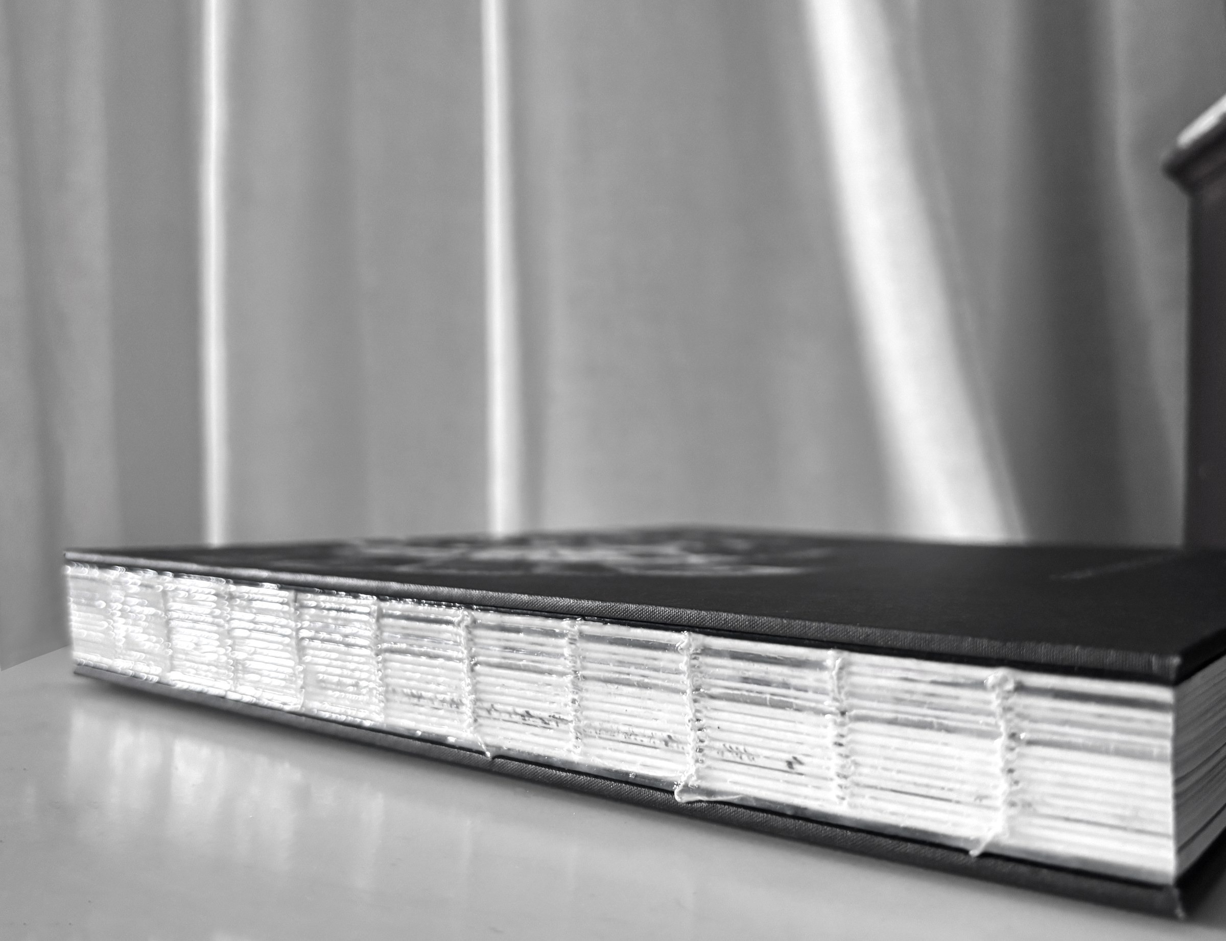 The exposed Coptic spine of the book, white thread stitched in bands across the block, catching the light