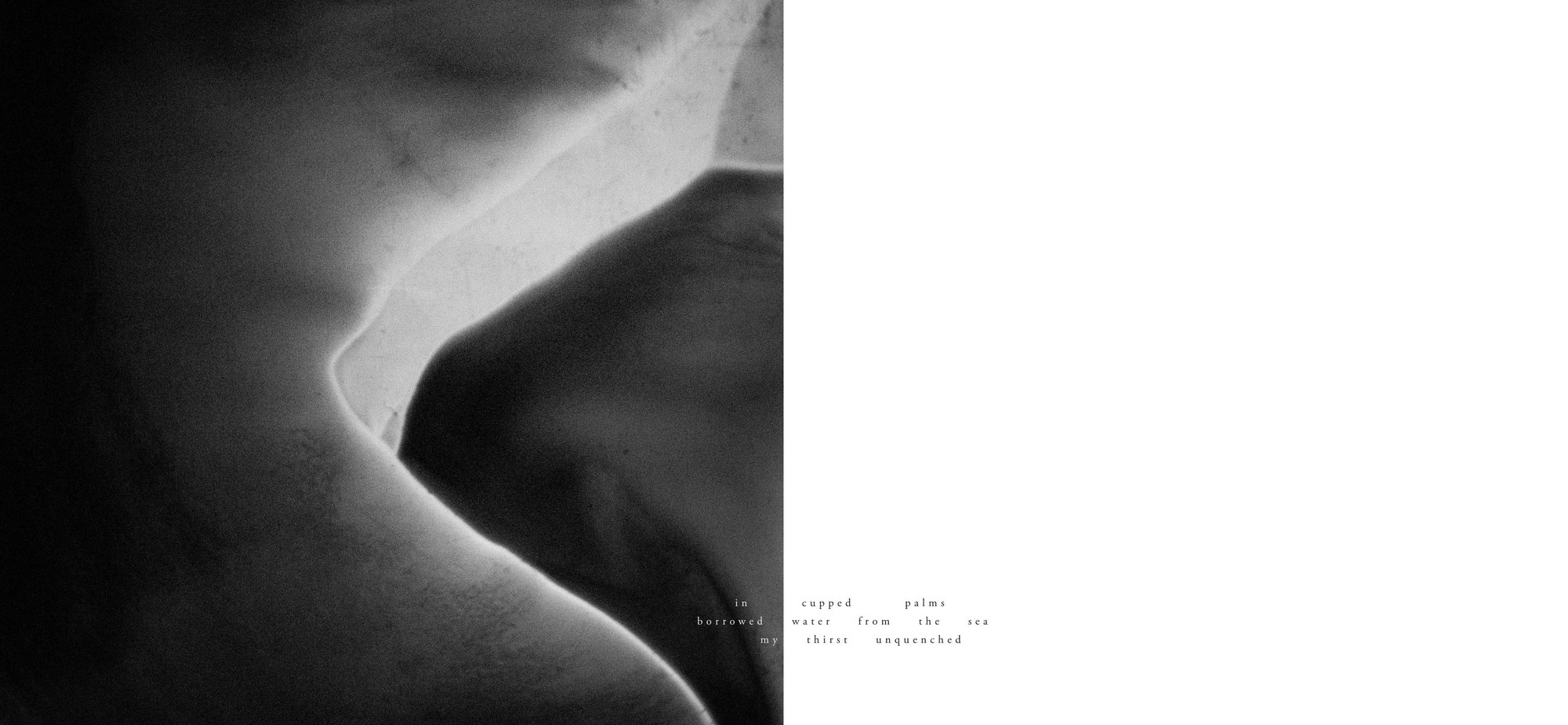 Soft curving forms meeting in shadow, with three spaced lines on the facing page: in cupped palms, borrowed water from the sea, my thirst unquenched